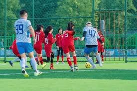 官方：恩佐、阿尔瓦雷斯、朱利亚诺和莫利纳退出阿根廷大名单